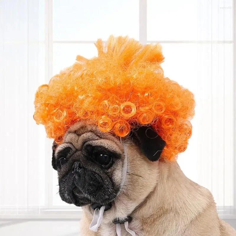 Vêtements de chien Costume d'animal de compagnie perruque de chat de cheveux bouclés pour Halloween fêtes de Noël coiffure drôle avec bande réglable Cosplay animaux de compagnie