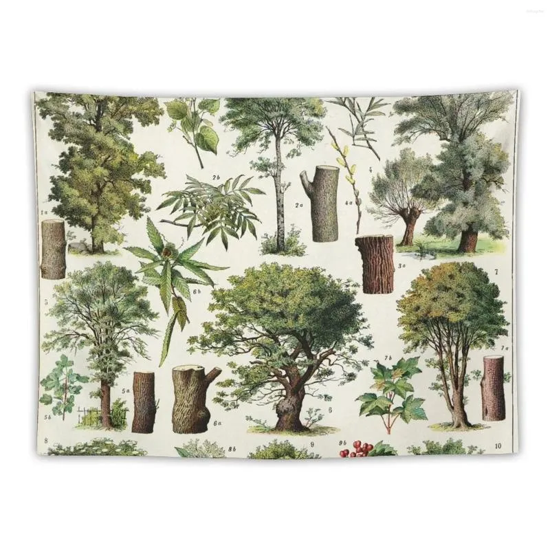 Wandtapijten Adolphe Millot - Arbres Een Franse vintage botanische poster Wandtapijt Kamerontwerp Muurbehang