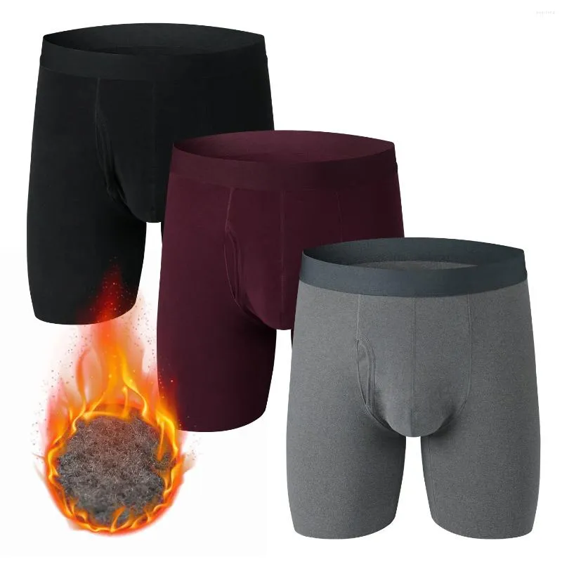 Underpants Microfiber Fleece Men's Panties Plus Size 4XL 5XL 6XL Winter Thermal Underwear Man Boxer Soft Comfy Thick Extended Leg Briefs