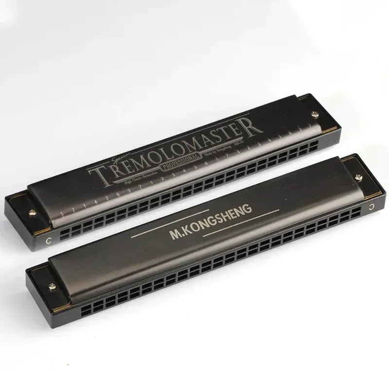 Professional 24-Hole C Key Harmonica - Double Row Blues Mouth Organ for ...