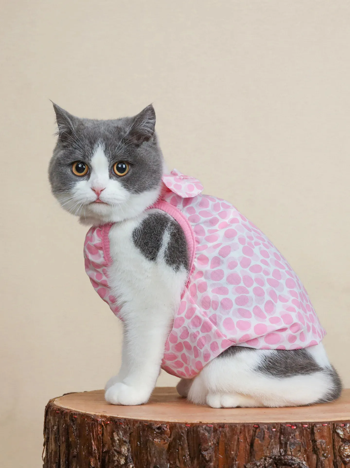 Vêtements pour animaux de compagnie Chat Sangles Gilet Petites robes pour animaux de compagnie Vêtements d'été pour chiens Gilet mignon pour chats T-shirts pour animaux de compagnie qui empêchent la perte de cheveux 240309