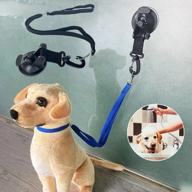 Colliers de bain pour chiens, attache réglable pour baignoire pour chiot, laisse de retenue, accessoires de bain pour animaux de compagnie avec boucle et ventouse pour douche de chat