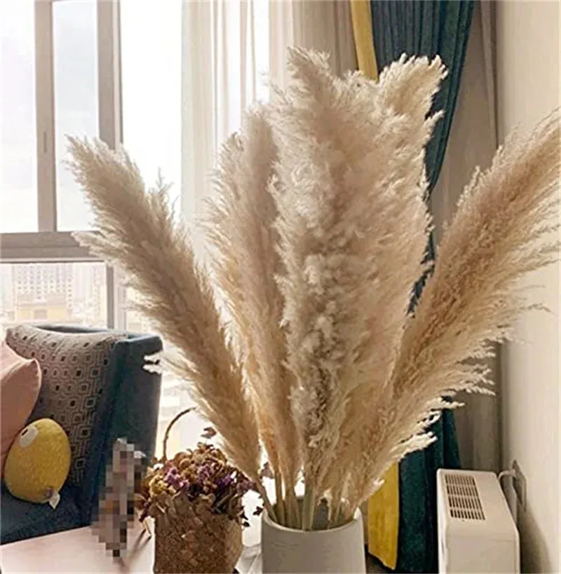 110 - 120 cm Gedroogde donzige Pampas Grasslarge Plumewholesale Boho bruiloft Decornatural Real FlowerHome Decorgarden Decoratie 240321