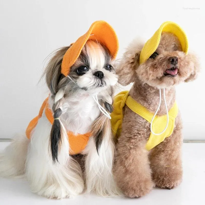 Vêtements pour chiens chapeau d'hiver jupe caniche shih tzu vêtements maltais chihuahua schnauzer yorkshire terriers bichon pomérane vêtements