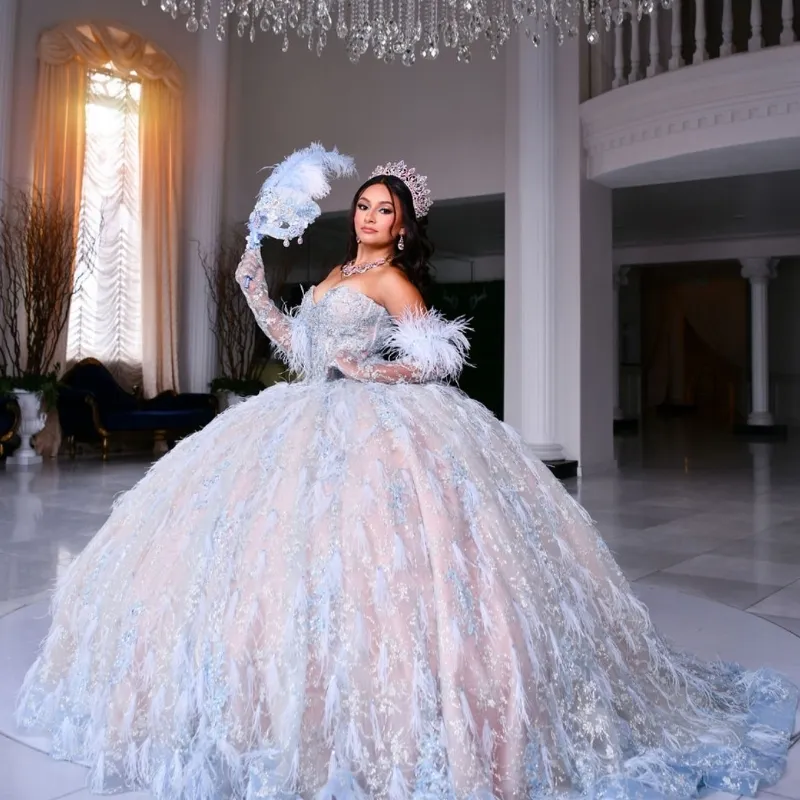 Sweetheart Ball Gown Quinceanera Dress with Crystal Beads Lace Feather  Appliqu, Tulle Fabric, and Champagne Lining, Long Sleeve, Lace-up Back,  Sweep Train from Dhgate Quinceanera Dresses - price 338.42