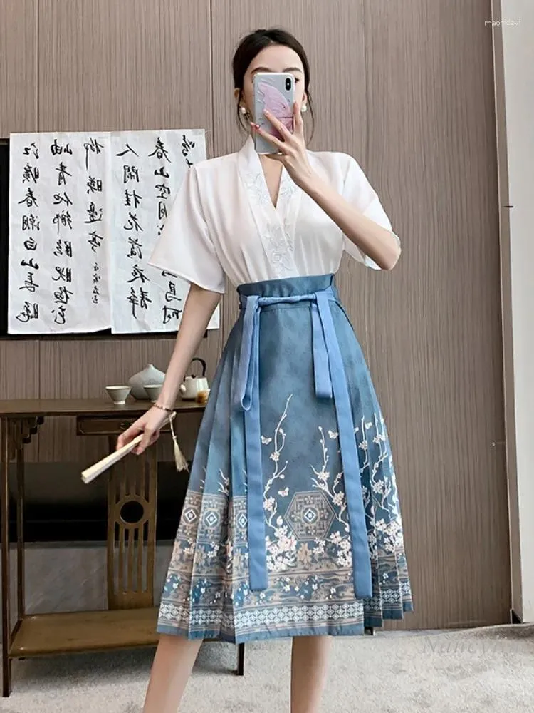 Arbeitskleider im chinesischen Stil, verbesserter Hanfu-Rock mit blauem Pferdegesicht, zweiteiliges Set, täglicher Pendler-Nationalanzug, weibliche Sommerkleidung