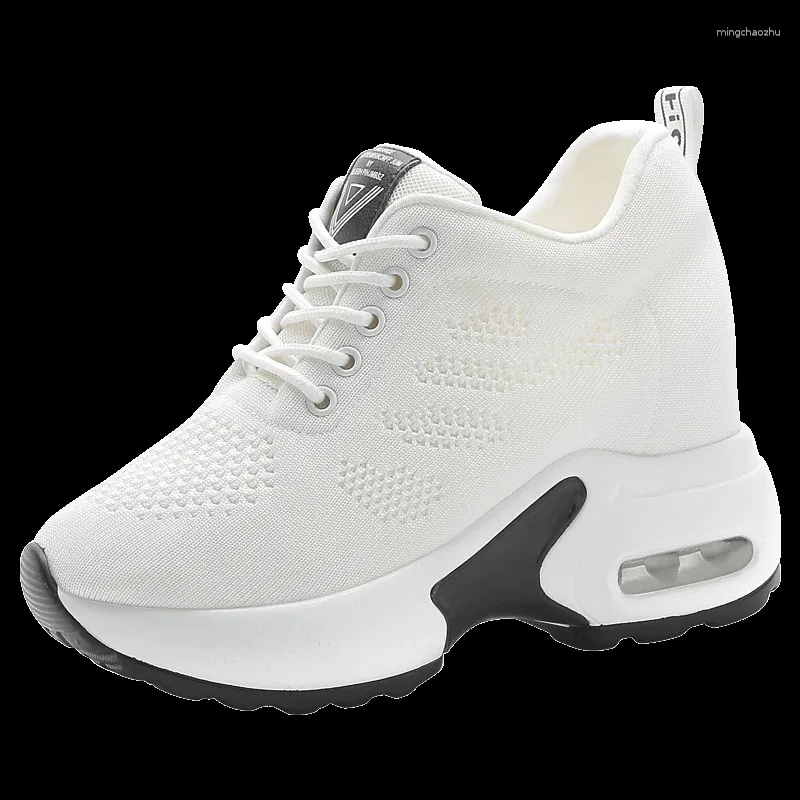 Casual Schoenen 2024 Dames Mesh Ademend Sport Lente Vetersluiting Mode Platform Hoge Hakken Sleehak Verhoogd Gevulkaniseerd