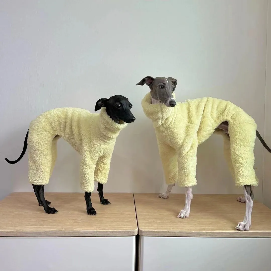 Włoski czterokopatowy kombinezon zimowy ciepły płaszcz dla psa greyhound ubrania piesowe 240319