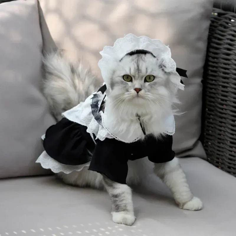 Платье горничной с котом и комплект шляпы, милый костюм кошки, одежда для косплея котенка, юбка для домашних животных, костюмы для косплея, кошка на Хэллоуин 240322