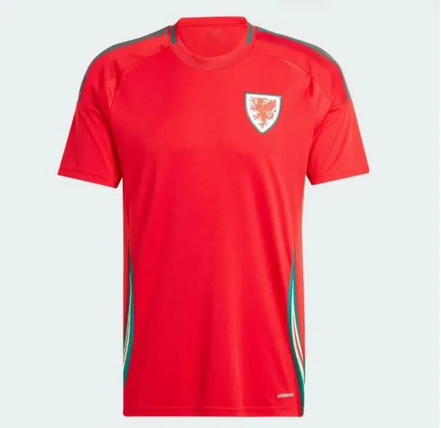 Poppy Soper Wales Soccer Jersey 2020 2021 Euros Welsh Football Tea