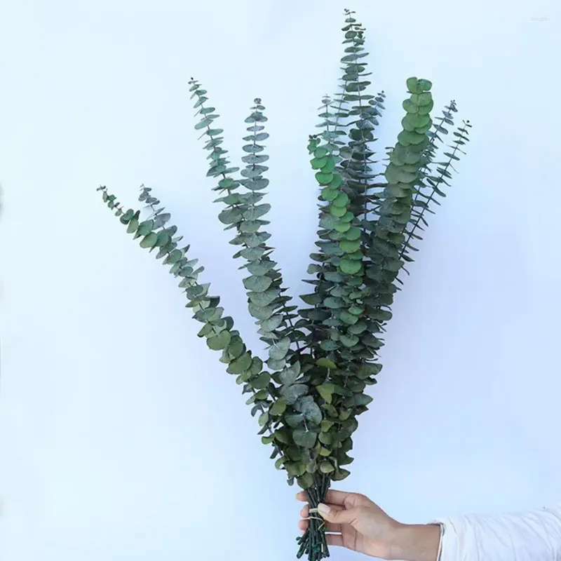 Decoratieve bloemen Geen water gevende plant 10 stuks Natuurlijke eucalyptusbladtakken voor huisdecoratie Niet-verwelkte groene planten Arrangement Herbruikbaar