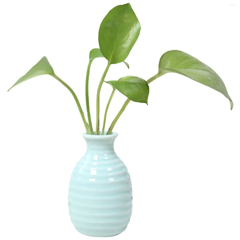 Vases Plante Vase en céramique hydroponique Creative Promouvoir une croissance saine Planteur pour la décoration de bureau d'appartement à la maison