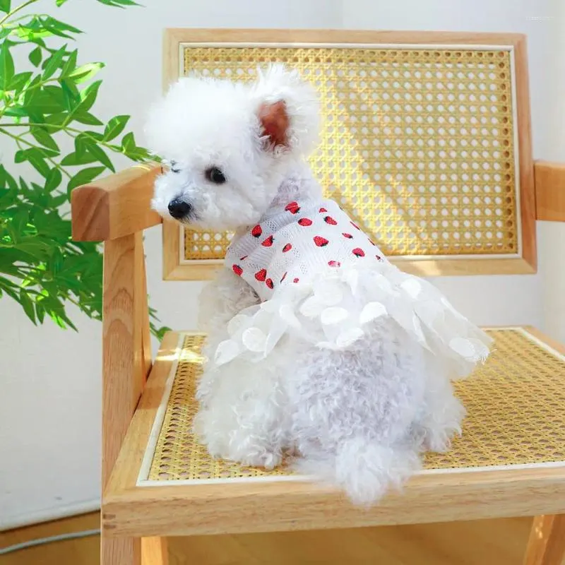 Ropa para perros elegante vestido de verano suave malla dobladillo fácil de usar patrón de fresa mascota gato princesa decorativa