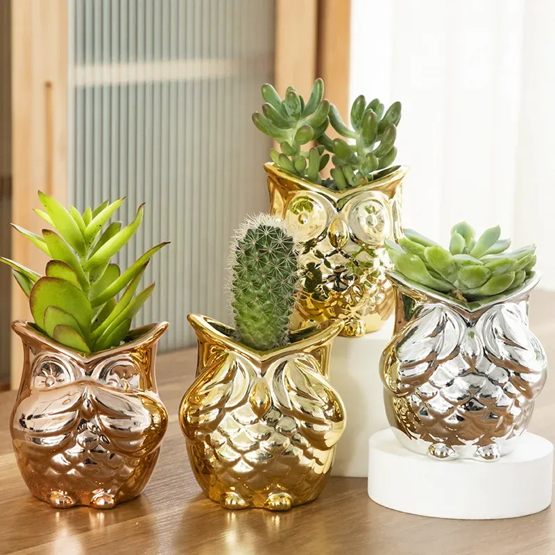 Planters Goldplated Ceramic Succulent Flower Pot Simple Cartoon Animal Owl Design Flowerpot Bonsai Pots Garden Planter Office Decor