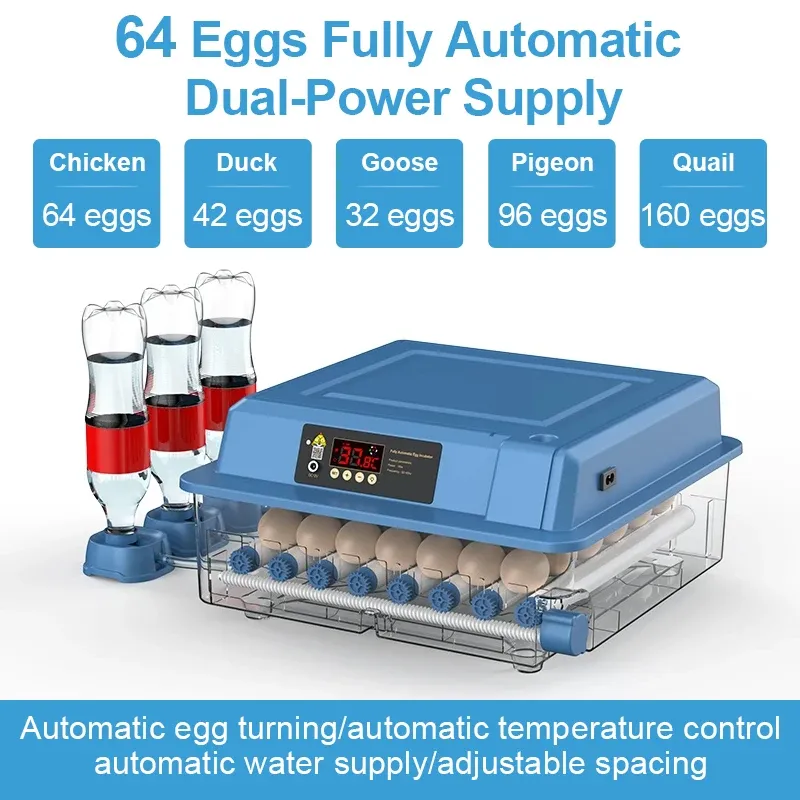 Accessoires Incubateur de 64 œufs avec mini-incubateur d'œufs de type tiroir avec réapprovisionnement automatique du lit d'eau ionique et contrôle de la température
