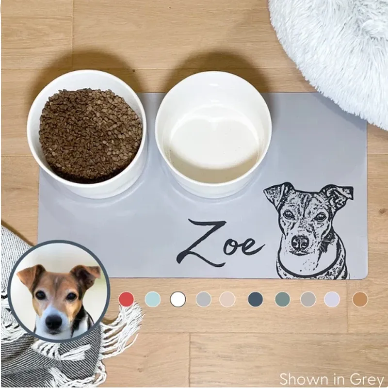 Personalized Waterproof Place Mat For Dogs With Pet Photo And Name Customizable Placemats For Food And Drinks Anti Slip Bowl Mat For Pets From Danuo 14.18 DHgate.Com