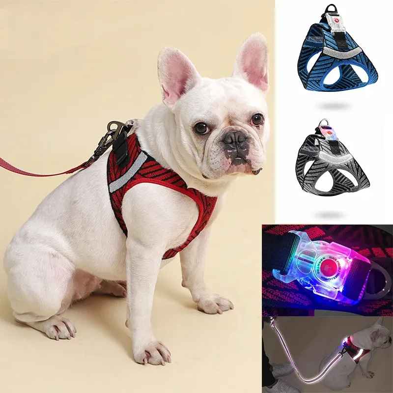 Geschirre Hundegeschirr-Leine-Kombination Langlebige reflektierende Hündchen-Trainingsweste Leichtes gestricktes Hundehalsband mit LED-Zugausrüstung