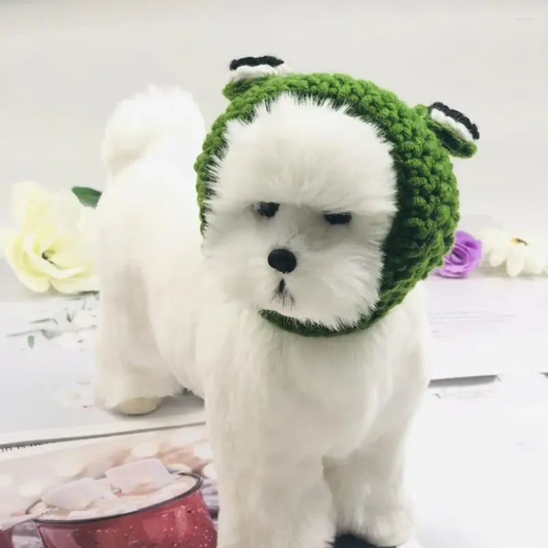 Hundkläder husdjurskläder tillbehör handstickad 3d groda ögondekor hatt bekväm huvudbonad för höst vinter söta katttillbehör