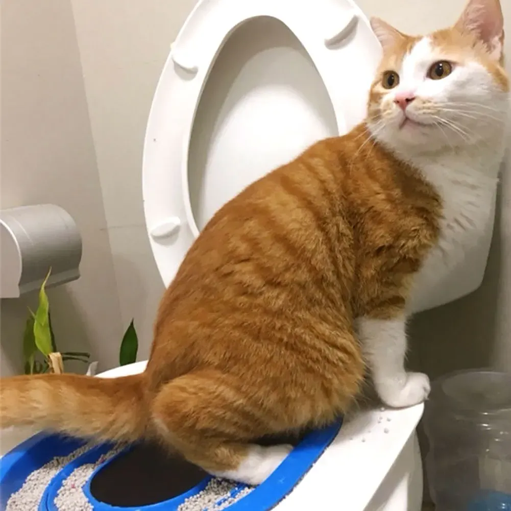 箱猫トイレトレーニング子猫猫クリーニングシステムペットトレーニングゴミカラートレイトイレウリナルペットプラスチッククリーニングトイレ用品