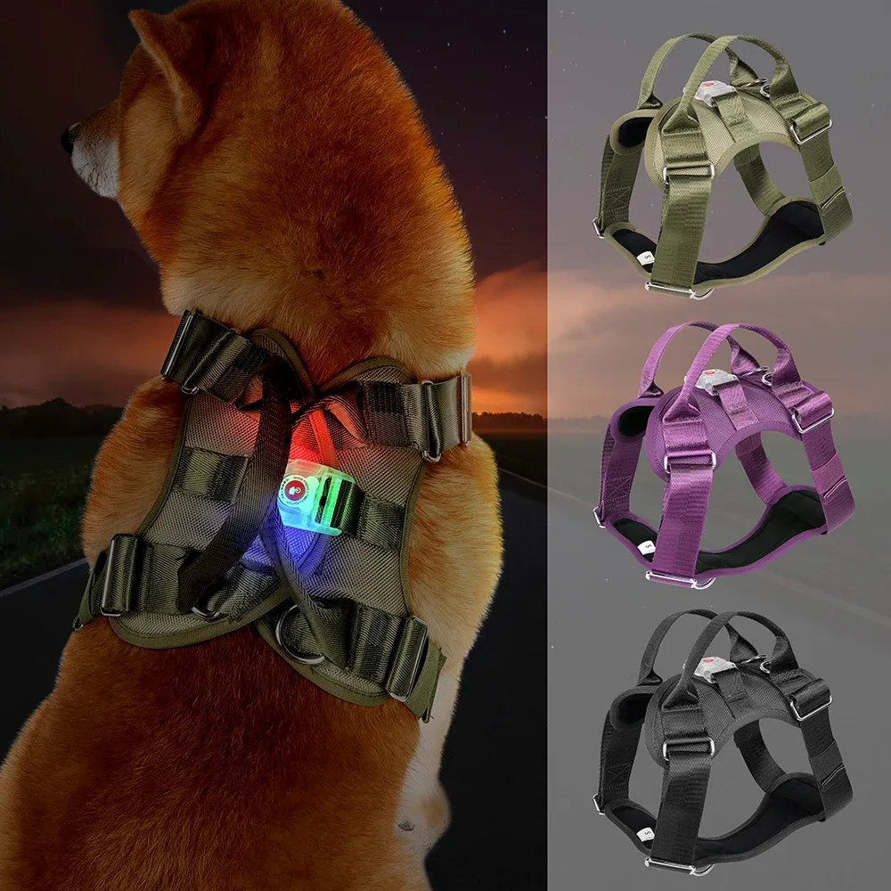 Sele LED Dog Harness justerbar nylon Pet Vest Harness LED Flash Dogs Harness Glödande LED -ljusväst för medelstora stora hundar Pitbull