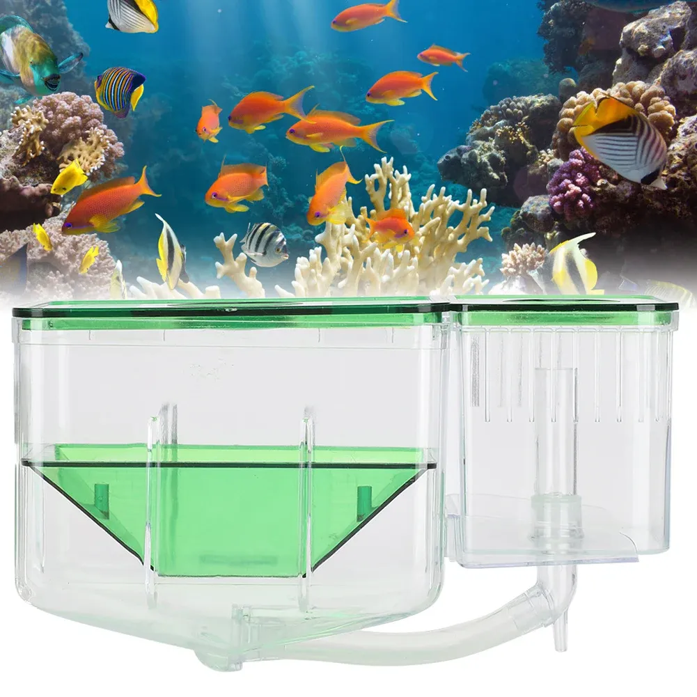 Tanks Aquarium Fish Tanks Bell Box Little Fish Doublelayer Isolation Inkubator för små fiskräka Fish Tank Hatching Inkubator