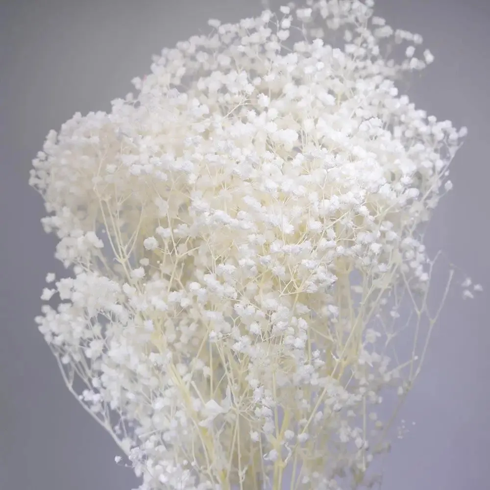 Fleurs séchées décoratives blanches naturelles bouquet bébé souffle à souffle conservé Gypsophile boho vase métier de mariage décoration de salon 240325