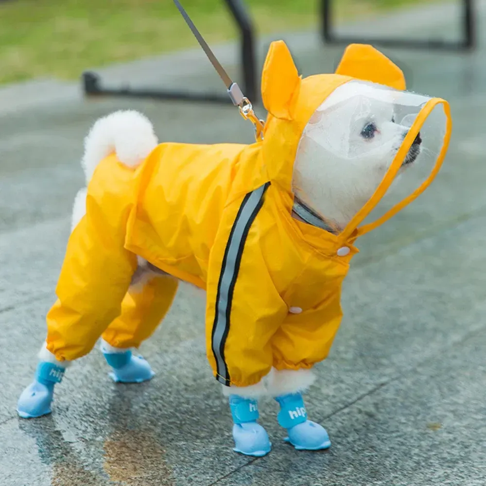 Capas de chuva para cães pequenos capa de chuva para cães bonito urso dinossauro mel abelha pet chuva jaqueta impermeável ao ar livre filhote de cachorro reflexivo com capuz chuva poncho