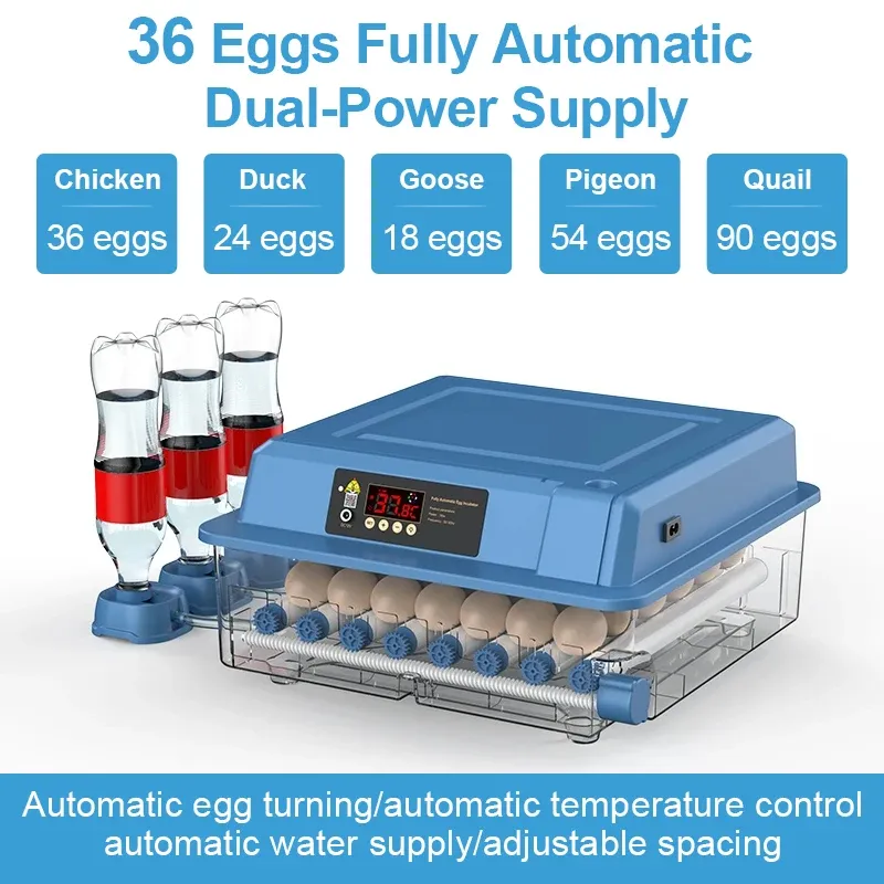 Akcesoria Mini Egg Inkubator z typem szuflady, automatyczny inkubator wody, uzupełnianie joonowego wodnego, kontrola temperatury, 36 jaj