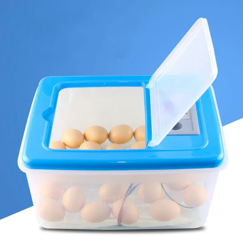 Accessoires Mini 32 incubateur d'oeufs incubateur de volaille couveuse numérique température couvoir incubateur d'oeufs couveuse poulet canard oiseau Pigeon