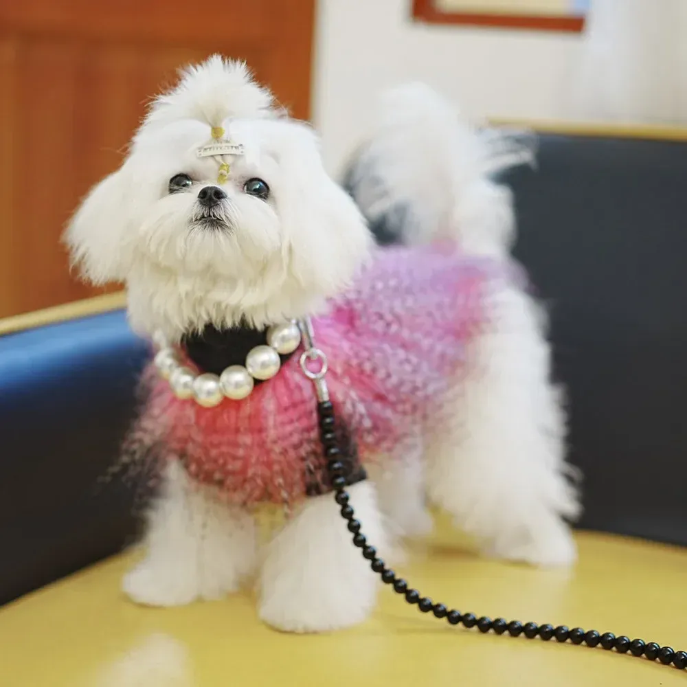 セーター子犬のセーター冬の秋の猫暖かいデシンジャー服ペットファッション毛皮小さな犬のかわいいプルオーバーダックスフンドシュナウザーチワワ