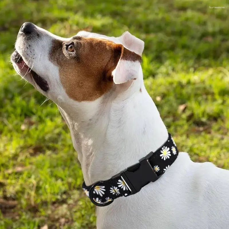 Colliers pour chiens imprimés, conception de collier pour animaux de compagnie, avec boucle réglable, fleur pour petits chiens, sécurité pour garçons