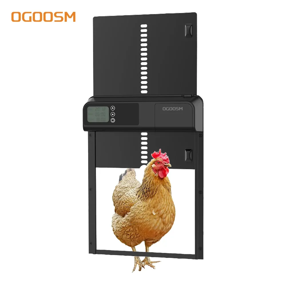 Tillbehör OgoOSM Automatiserade metall PET -dörrar med timer Metal Aluminium LCD Vattentät kyckling Coop Door Accessorie Poultry Gate for Farm