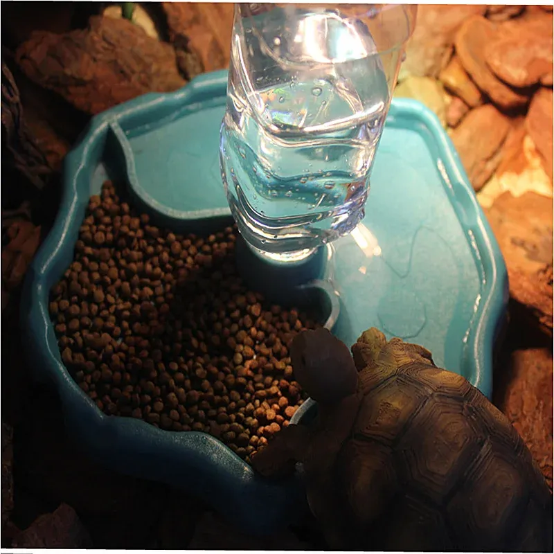 Dostarcza podajnik gadów dla zwierząt 2 w 1 Automatyczna płyta wodna płyta żywieniowa jaszczurka dozownik żółwia gady płazy karmiące