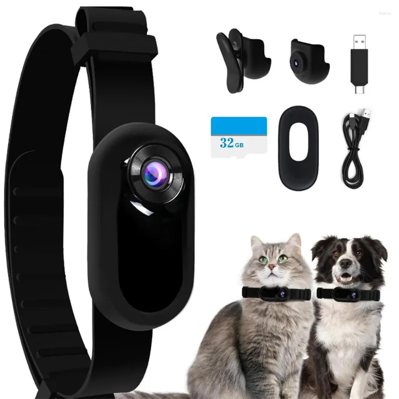 Colliers de traqueur pour chiens, caméra de Sport avec enregistrements vidéo, pas besoin de WiFi, accessoires d'extérieur sans fil pour animaux de compagnie