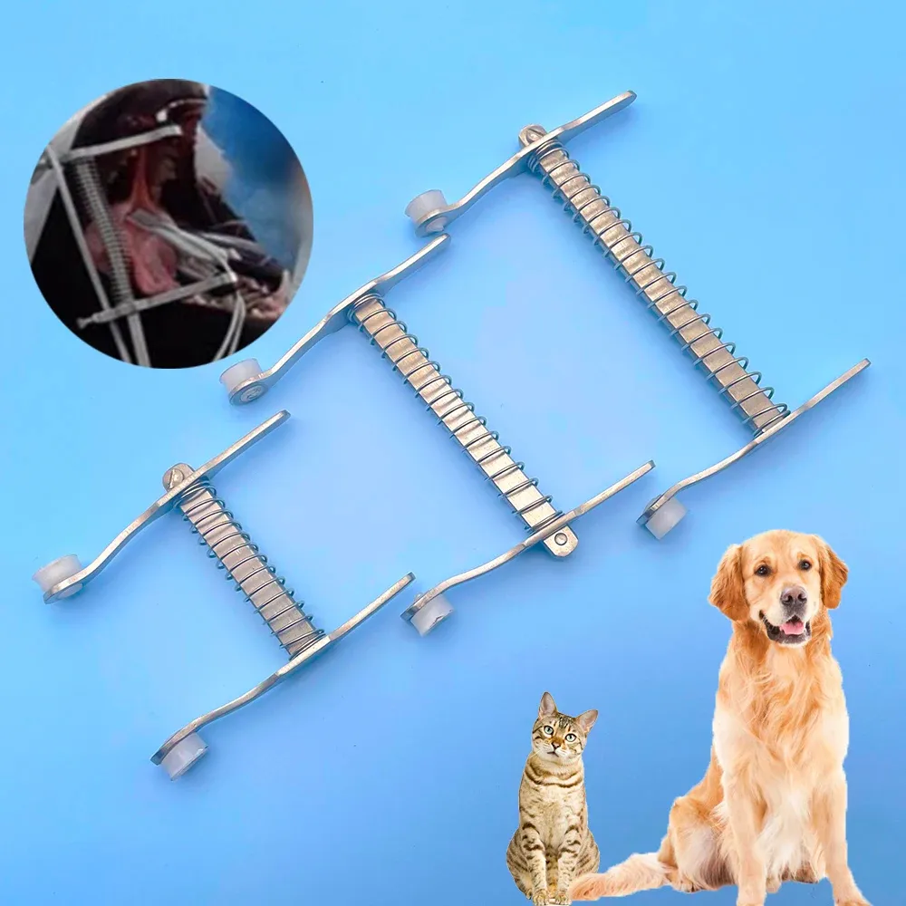 Instrument husdjur katt djur hund munöppnare retractor tandläkare muntliga tentor påse spekulum buccal kind dilator tråd kavitet rostfritt stål