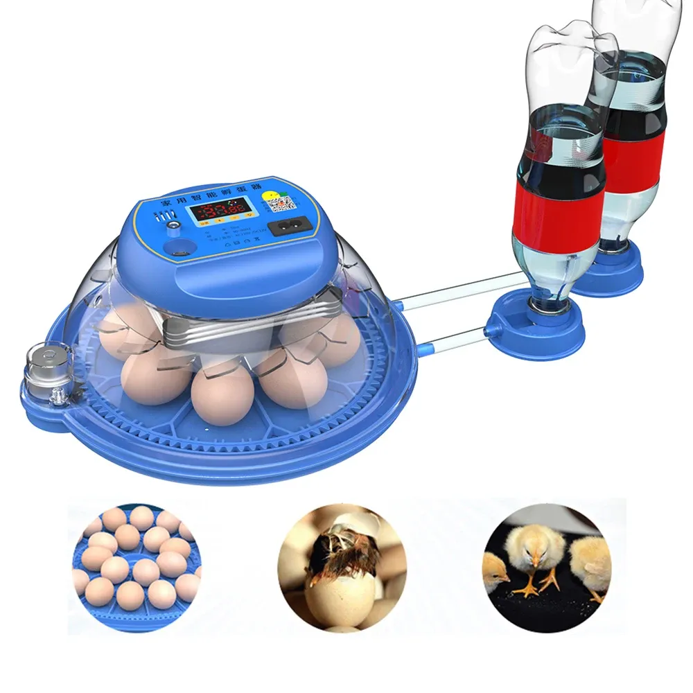 Tillbehör 8 Ägginkubator med lådtyp Mini Egg Inkubator med automatisk vattenjonisk vattenbädd påfyllning och temperaturkontroll