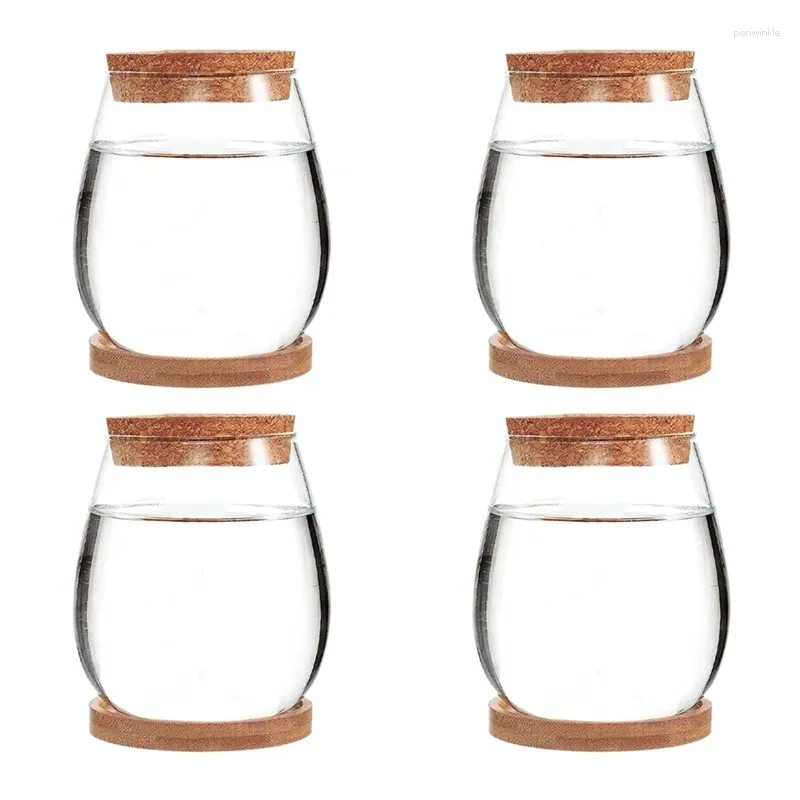 Vaser 4 st mini transparent terrariumglas som visas trädgård vardagsrum hem bordsskiva dekoration