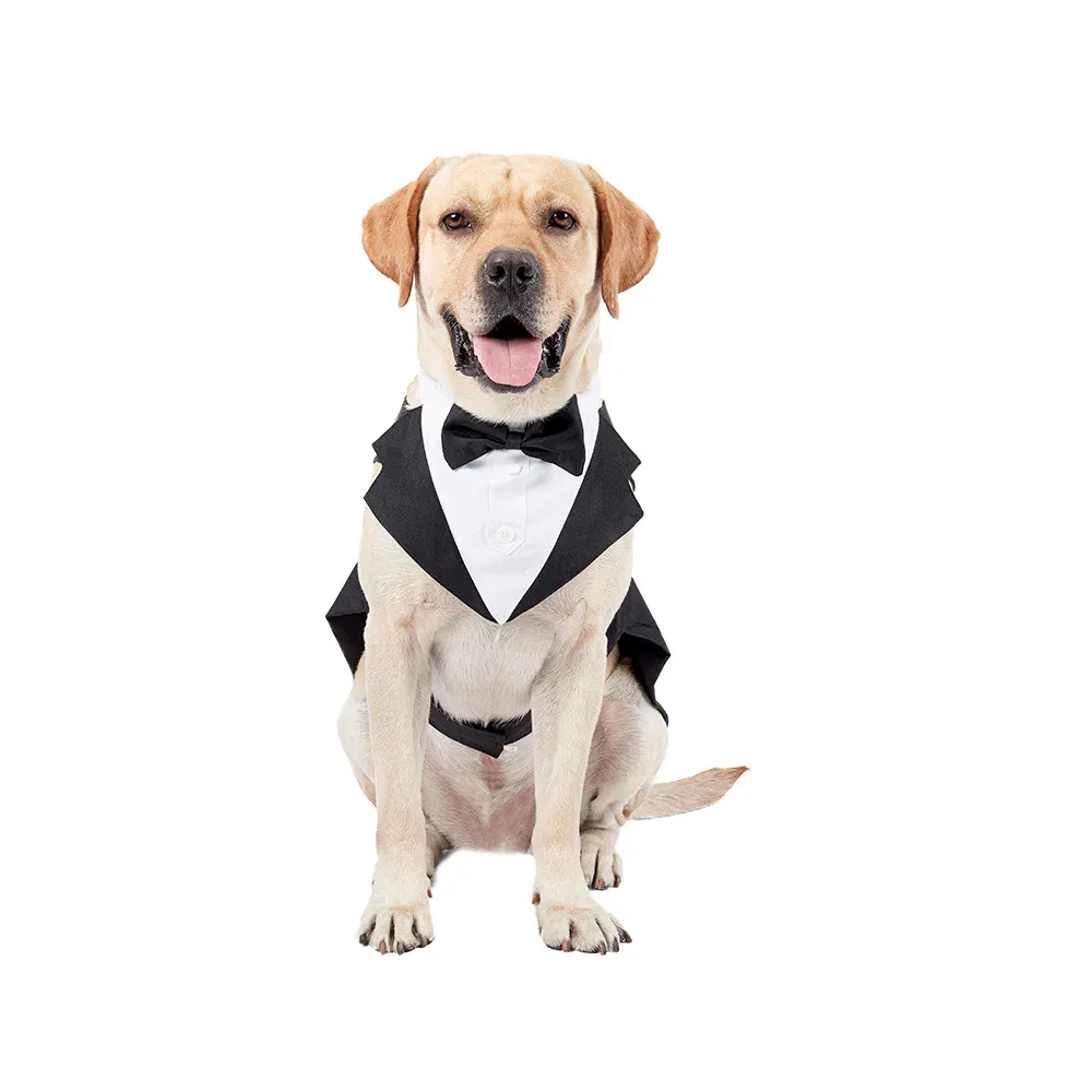 Gömlekler Yeni Pet Düğün Takım Elbise Köpek Kıyafetleri Yaratıcı Bowtie Beyler Elbise Smokin Elbise Evcil Hayvan