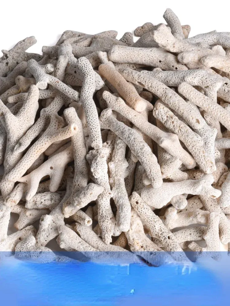 Tillbehör Aquarium Coral Bone Aquarium Coral Stone Sand Seafood Fish Pond Filter Material Naturlig botten Sand för att stabilisera vattenkvaliteten