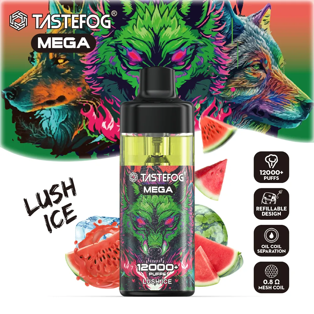 Tastefog Mega 12000 Rookwolken Groothandel hervulbare en oplaadbare vape e-sigarettenpod-set