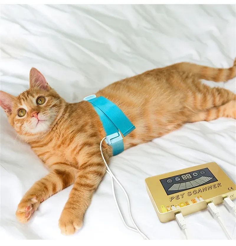 アナライザー17は、猫と犬のためのペットスキャナー量子磁気共鳴分析装置を報告しますフルボディテスター動物博士