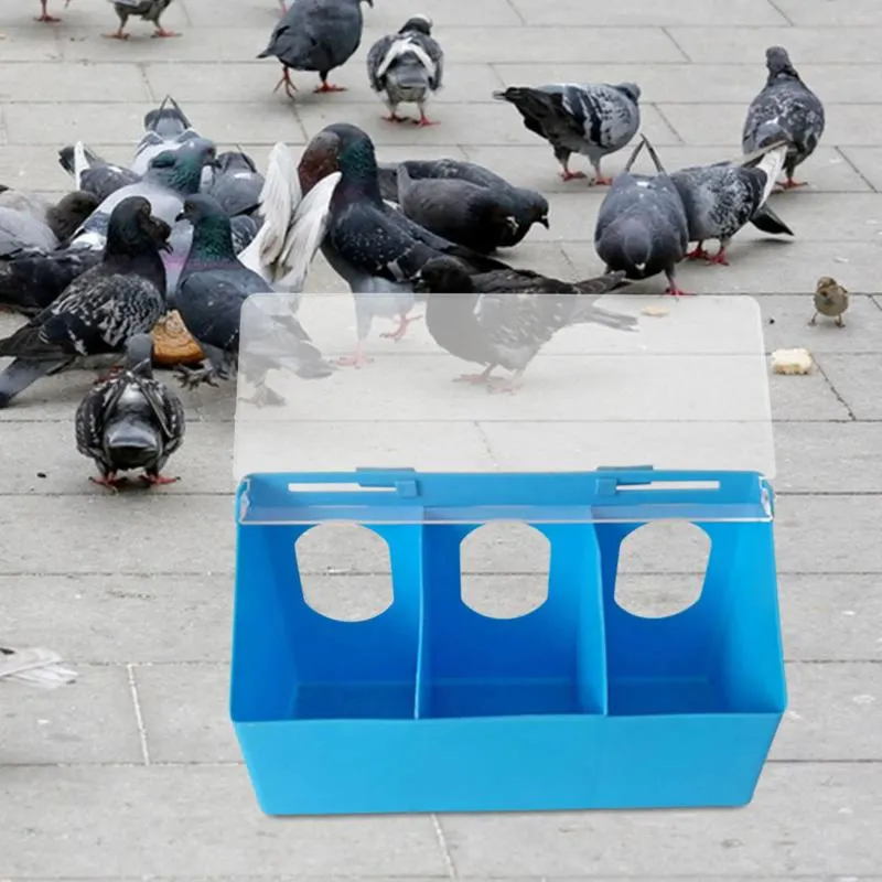 Autres fournitures pour oiseaux Cage d'alimentation pour pigeons Boîte suspendue pour perroquet