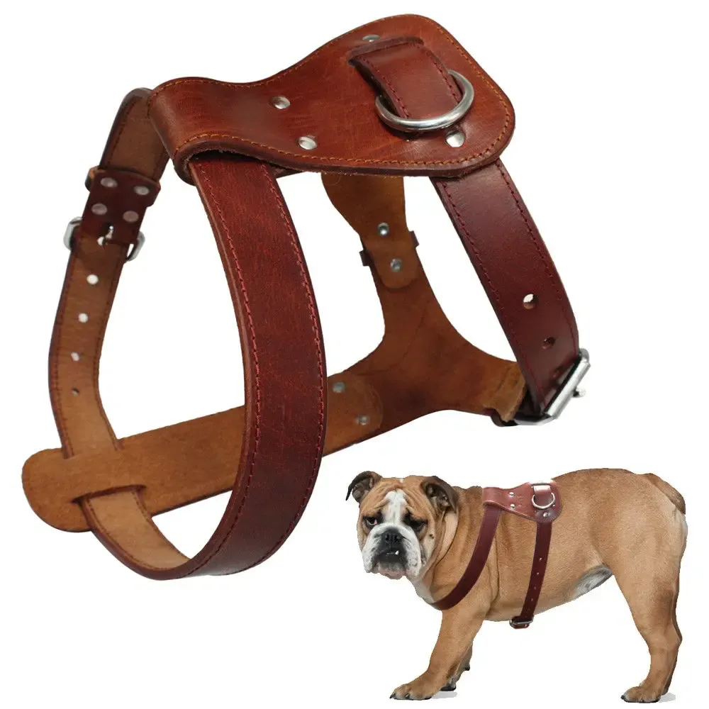 Arreios de couro genuíno arnês de cão marrom couro real cães andando colete cintas ajustáveis médio grande pitbull boxer mastiff