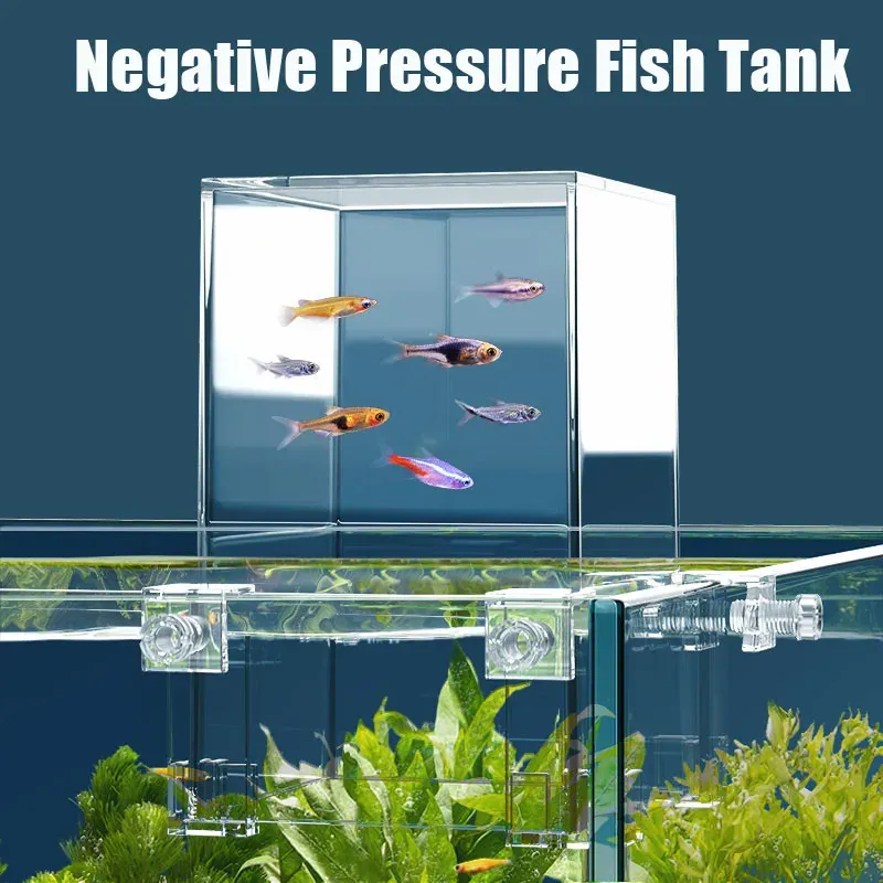 Tanques Criativo Aquário Tanque de Pressão Negativa Tanque de Peixes Ecológico Aquascape Decoração Pequeno Tanque de Peixes Beta Tanque de Peixes Isolamento