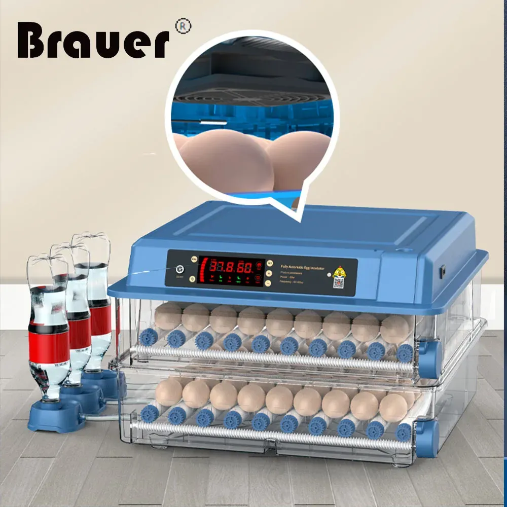 Accessoires Incubateur de 36 œufs avec mini-incubateur d'œufs de type tiroir avec réapprovisionnement automatique du lit d'eau ionique et contrôle de la température