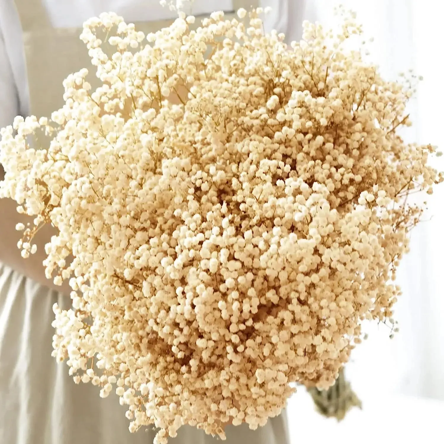 Natural Fresh Dried Preserved Flowers Gypsophila Eternal Breath Bouquets Valentines Day Gift Wedding Boho Home Decor Paniculata 240325