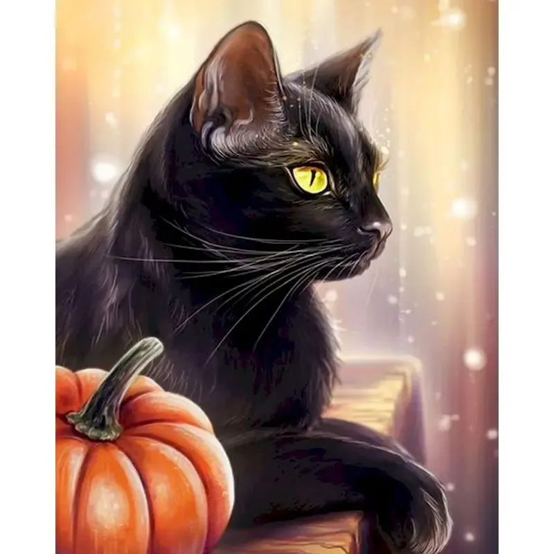 Número Pintura Ruopoty por Números para Adultos Black Cat Halloween Pumpkin Lantern Kits de tinta a óleo emoldurados em tela Decoração de casa moderna