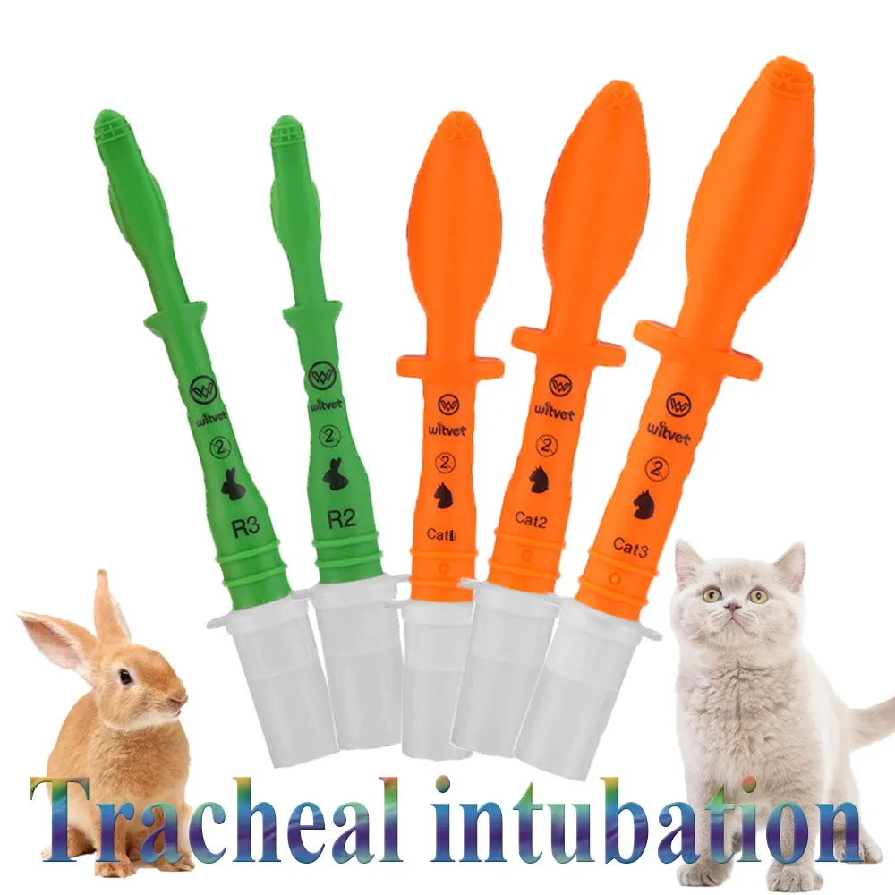 Instruments Tube d'intubation endotrachéale aveugle spécial CatRabbit ET Support des voies respiratoires sécurisé et guidé Soins des animaux Équipement clinique disponible