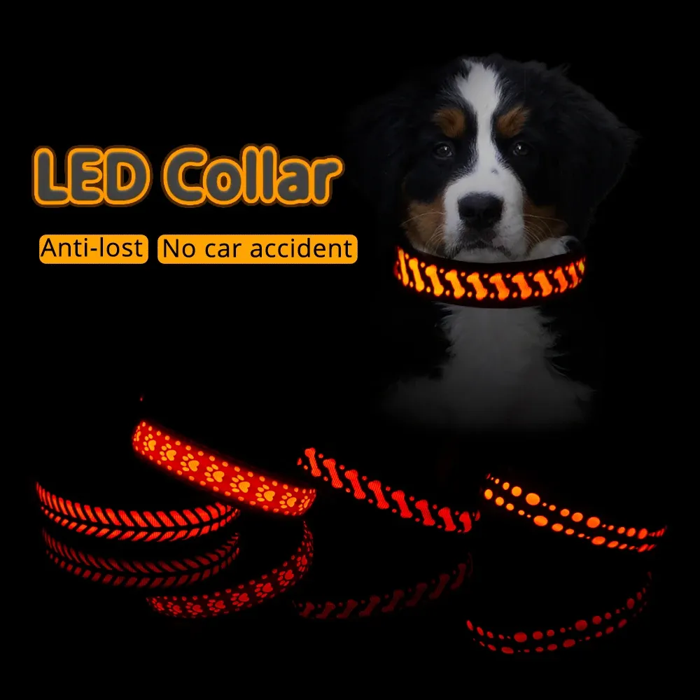 Coleiras padrão luminoso colar para cães legal carregamento usb led coleira antilost colar engraçado produtos para animais de estimação