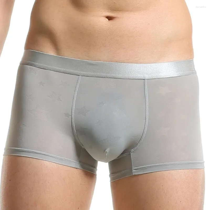 Sous-vêtements sexy hommes glace soie solide sous-vêtements transparents shorts culottes d'été boxeurs slips respirant hommes boxeur